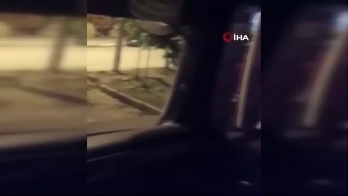 Son dakika haberleri! Kabak hırsızlığı kamerada... Terör gazisi esnaf: Çalmanıza gerek yok, ben size verirdim