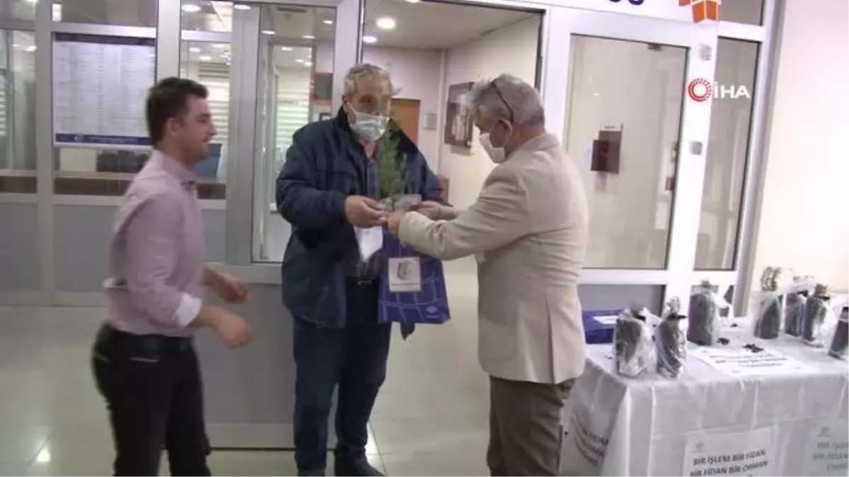 Tapuya gidene fidan hediye