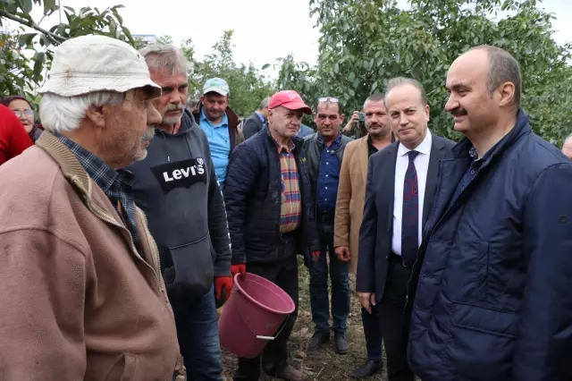 Türkiye'de tarla sınırları nedeniyle büyük bir alan tarımda kullanılamıyor