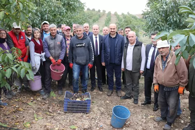 Türkiye'de tarla sınırları nedeniyle büyük bir alan tarımda kullanılamıyor