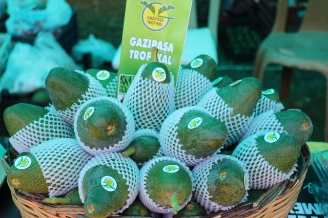 Antalya'da 11. Çekirdeksiz Nar ve Tropikal Meyve Şenliği başladı