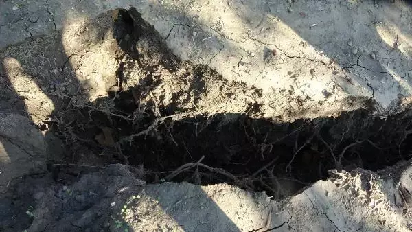 Aydın'da yağış sonrası oluşan çatlaklar halkı tedirgin etti