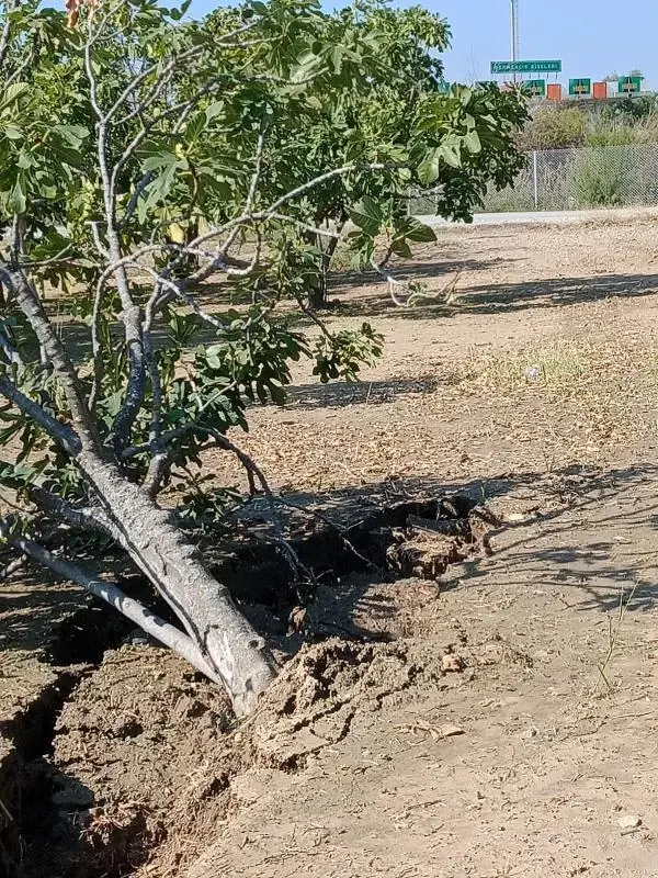 Aydın'da yağış sonrası oluşan çatlaklar halkı tedirgin etti