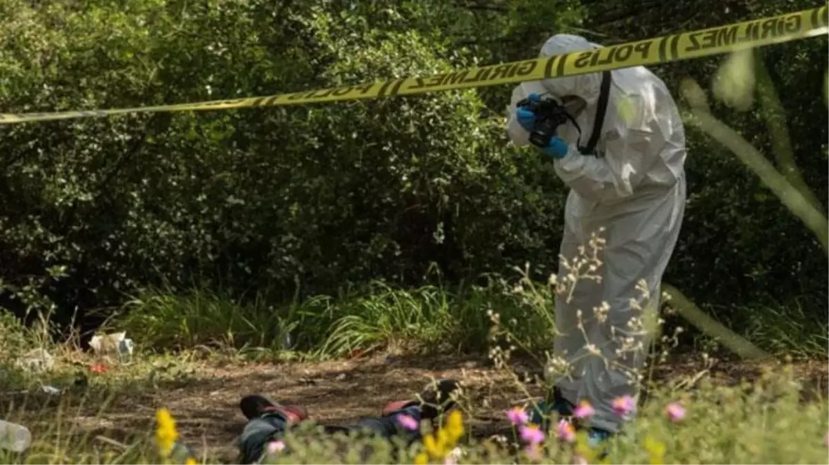 Yaylaya giden vatandaşlar gördü! Bıçakladıktan sonra ağaçların arasına atıp kaçmışlar