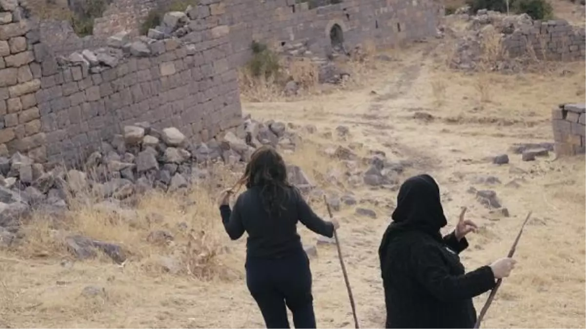 Nosema, Amsterdam Uluslararası Belgesel Film Festivali'nde