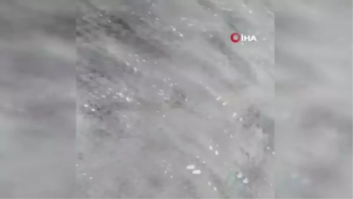 sahilde parcalanmis ve taninmaz halde bulunmu 14477995 amp