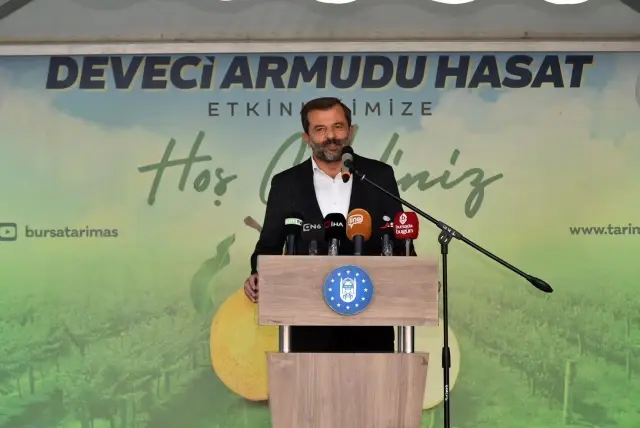 Armut bahçelerinde hasat bereketi