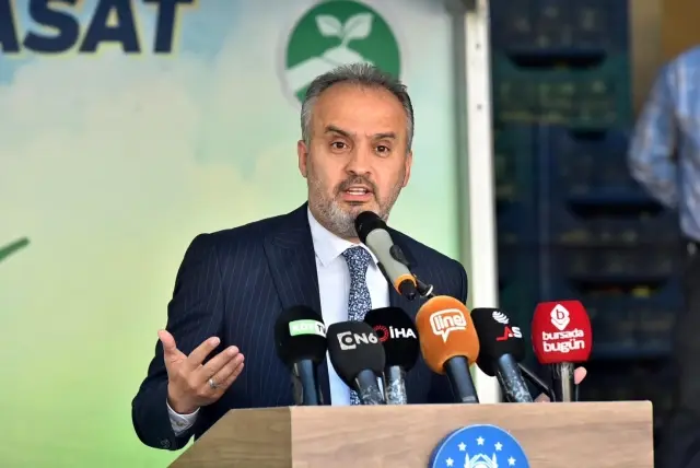 Armut bahçelerinde hasat bereketi
