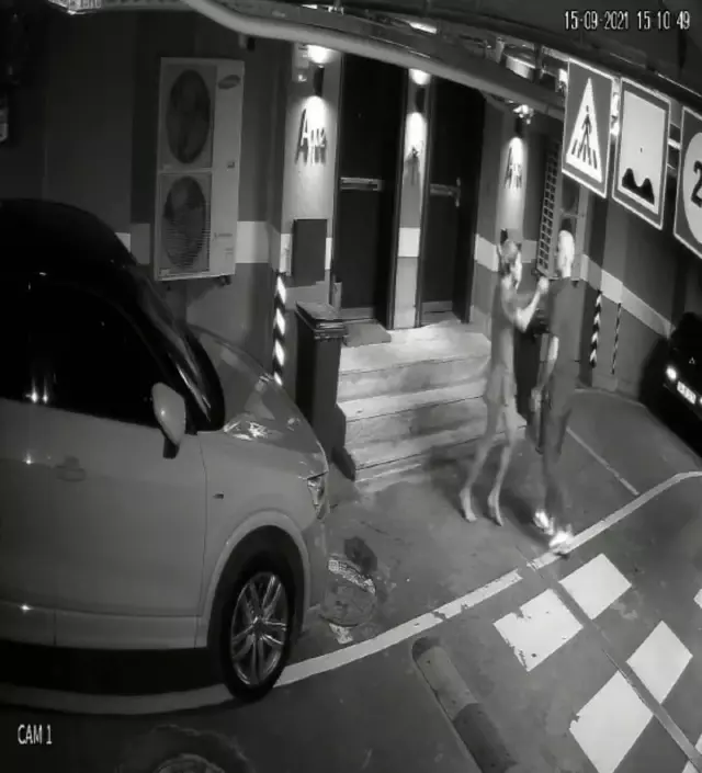 Feyza Aktan'ın Özcan Deniz'e vurduğu anlar kamerada