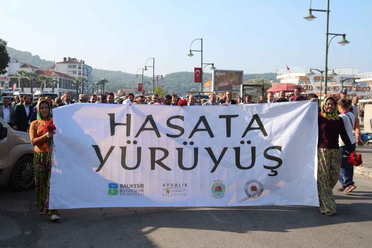 Zeytin Hasat Festivali bu yıl, 28-31 Ekim tarihleri arasında gerçekleştirilecek