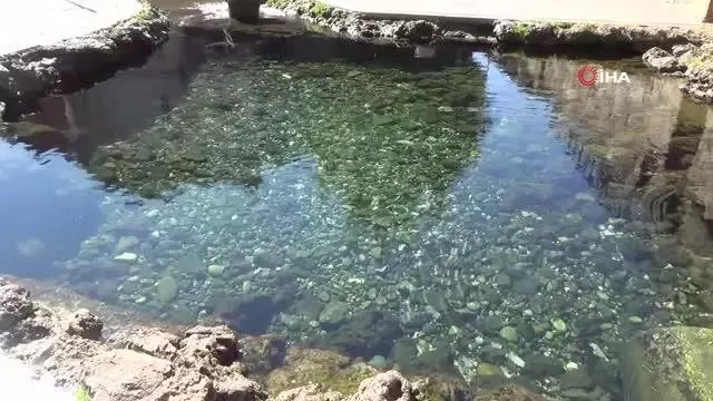 Havanın soğumasıyla Anzele suyunda çocukların yerini balıklar aldı