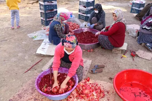 Nar ekşisi Malatyalı kadınların ek gelir kapısı oldu