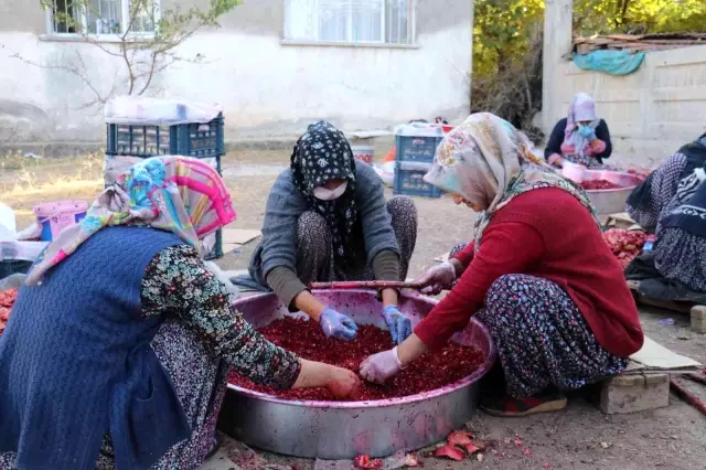 Nar ekşisi Malatyalı kadınların ek gelir kapısı oldu