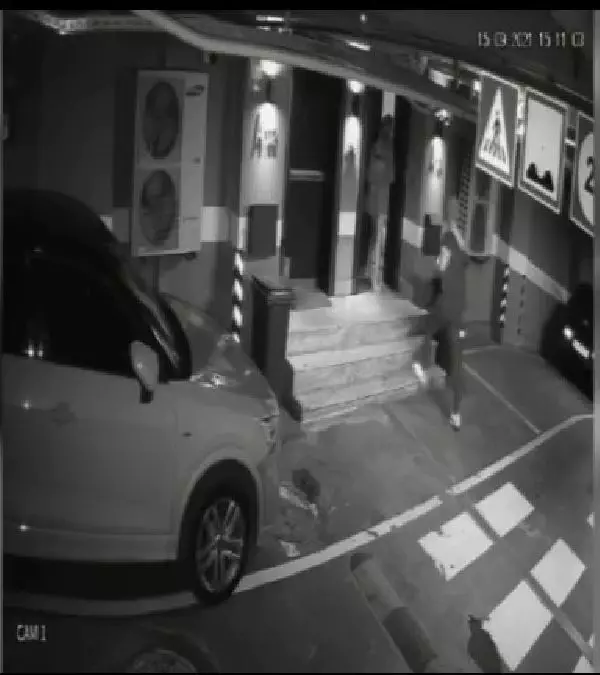 Özcan Deniz ile Feyza Aktan'ın kavga görüntüleri (2)