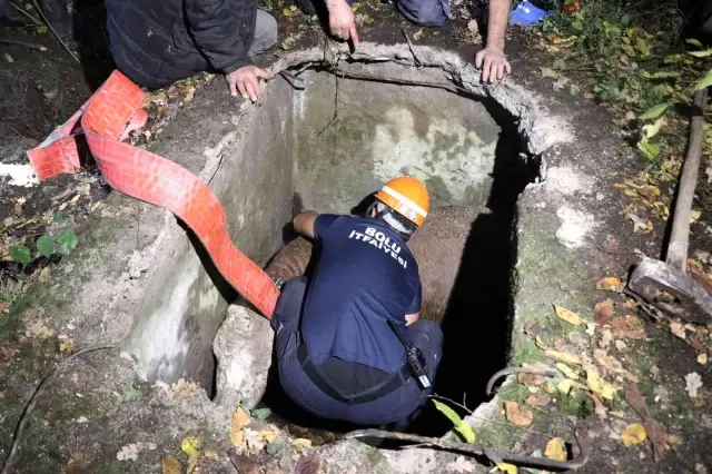 Su kuyusuna düşen inek halatla bağlanarak kurtarıldı