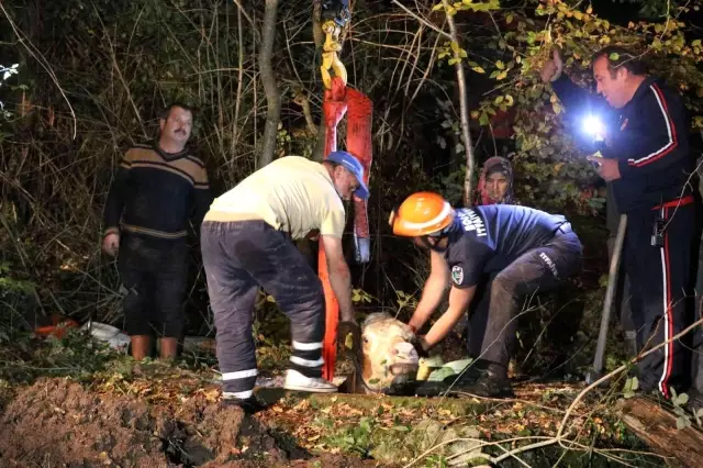 Su kuyusuna düşen inek halatla bağlanarak kurtarıldı