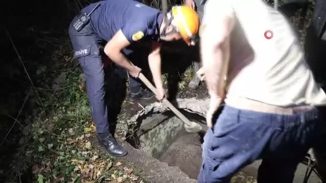 Su kuyusuna düşen inek halatla bağlanarak kurtarıldı