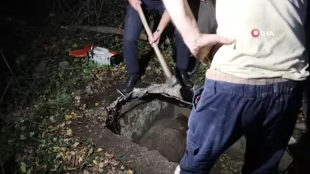 Su kuyusuna düşen inek halatla bağlanarak kurtarıldı