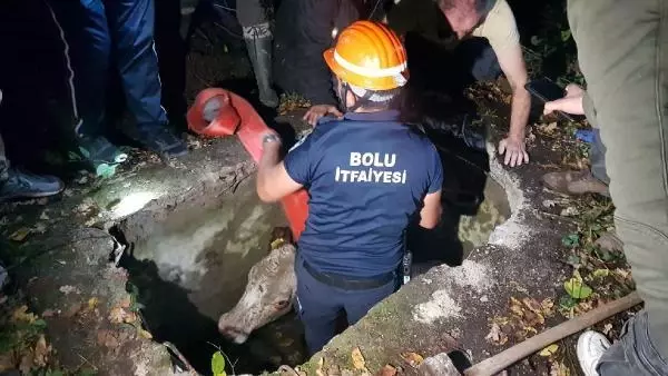 Su kuyusuna düşen inek, itfaiye ekiplerince kurtarıldı
