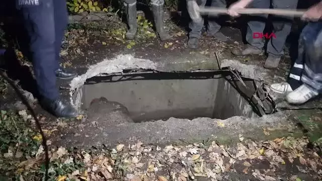 Su kuyusuna düşen inek, itfaiye ekiplerince kurtarıldı
