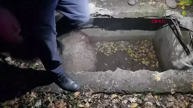 Su kuyusuna düşen inek, itfaiye ekiplerince kurtarıldı
