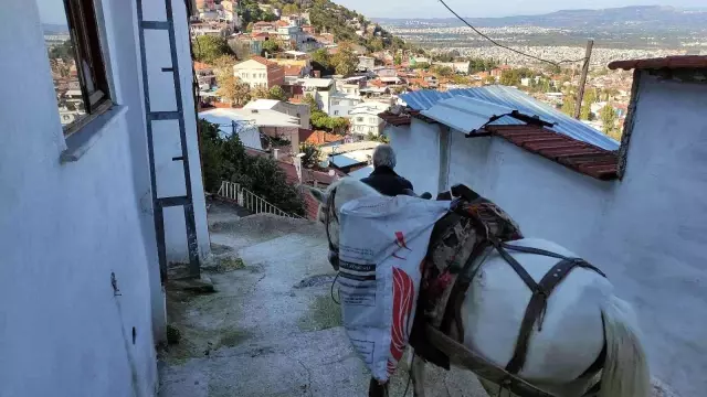 Araçların giremediği mahalleye atıyla yük servisi yapıyor! Ton başına 150 lira kazanıyor