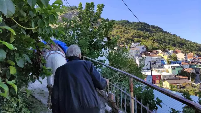 Araçların giremediği mahalleye atıyla yük servisi yapıyor! Ton başına 150 lira kazanıyor