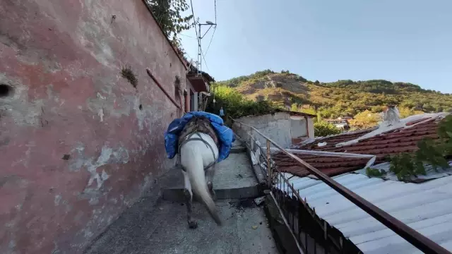 Araçların giremediği mahalleye atıyla yük servisi yapıyor! Ton başına 150 lira kazanıyor