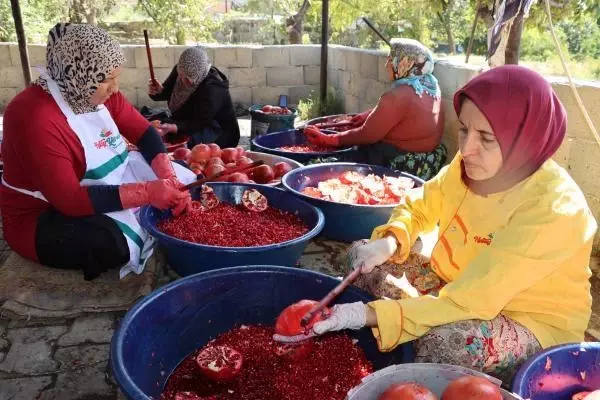 Savaştan kaçan Suriyeli avukat, Türkiye'de çiftçilik yapıyor: Burada cennetteyiz Savaştan kaçan Suriyeli avukat, Türkiye'de çiftçilik yapıyor: Burada cennetteyiz