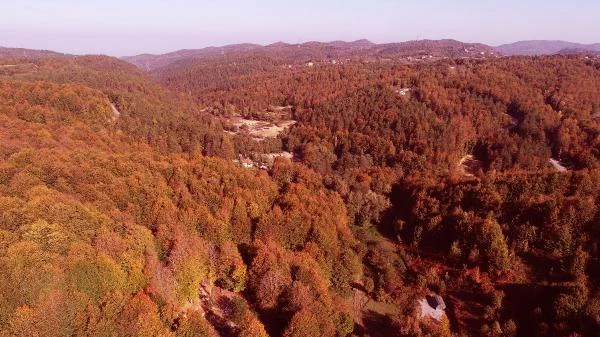 Zonguldak'ta kent ormanında sonbahar güzelliği