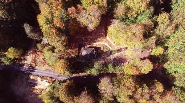 Zonguldak'ta kent ormanında sonbahar güzelliği