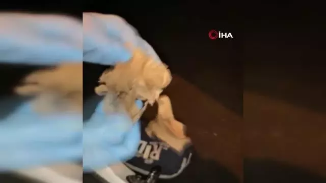 Son dakika haber: Beşiktaş'ta torbacının mıknatıslı çanta oyunu: Polis özel zulada marihuana ele geçirdi