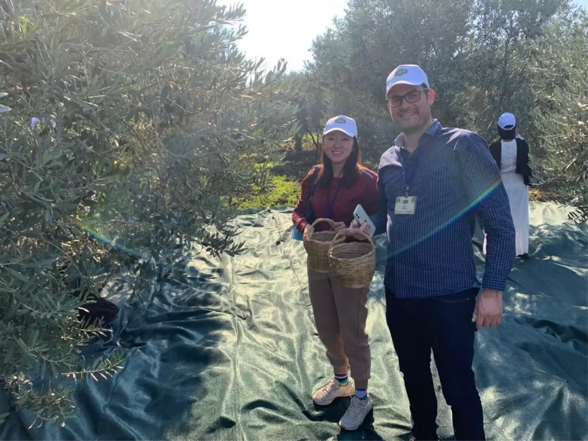 Dünya Food, Akhisar'da 'erken hasat' şenliği düzenledi