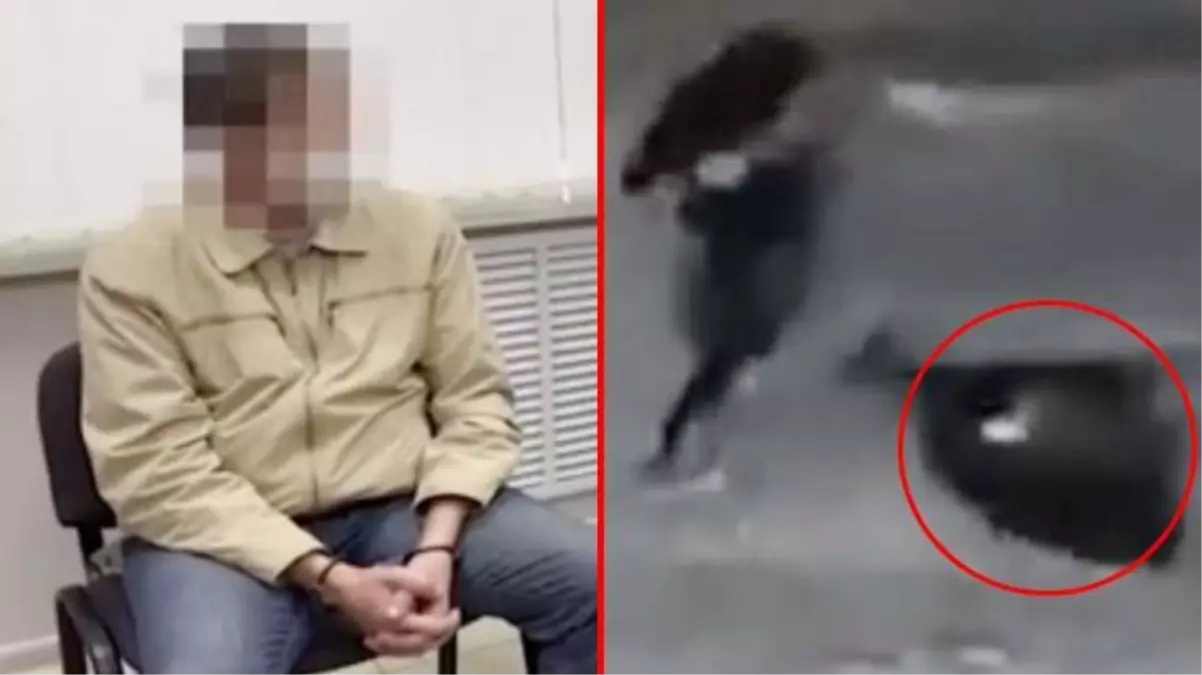 Kan donduran cinayet! Aşkına karşılık vermeyen kadının başını kesip cesedini bavulla ormana attı