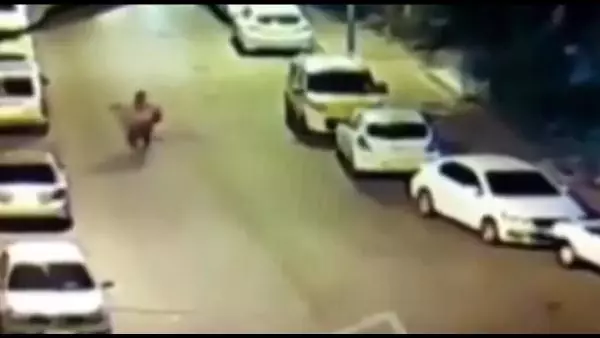 Kapkaç anı kamerada/ HABER İPTALİ
