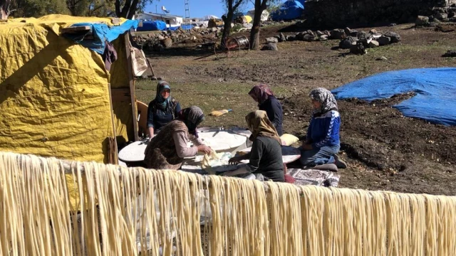 Kars'ta kadınlar 'imece' usulü erişte kesiyor