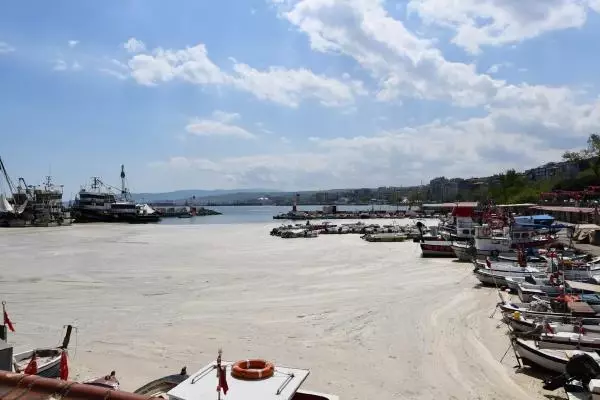 PROF. DR. TECER MARMARA'DA DURAĞAN DENİZ KOŞULLARI DEVAM ETTİKÇE MÜSİLAJ TEHLİKESİ VAR