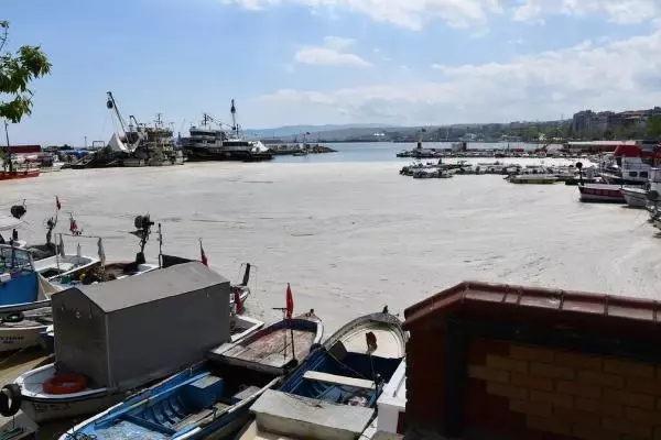 PROF. DR. TECER MARMARA'DA DURAĞAN DENİZ KOŞULLARI DEVAM ETTİKÇE MÜSİLAJ TEHLİKESİ VAR