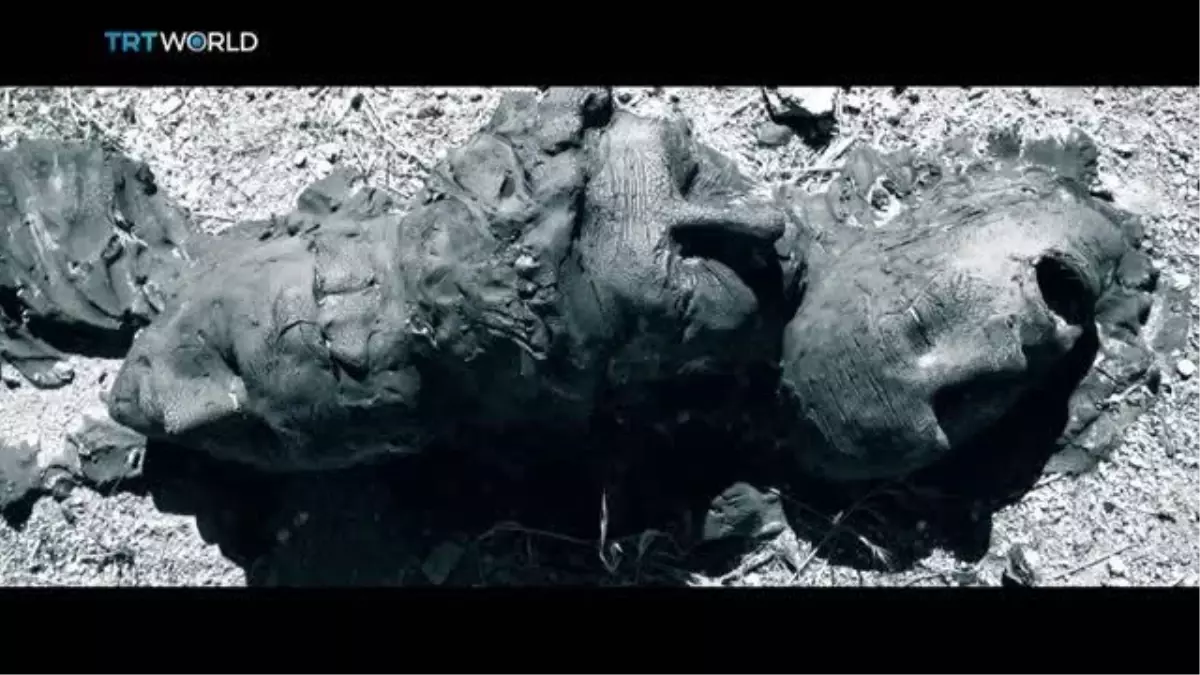 TRT World, Kıbrıslı Türklerin hayatta kalma mücadelesini dünyaya anlatacak