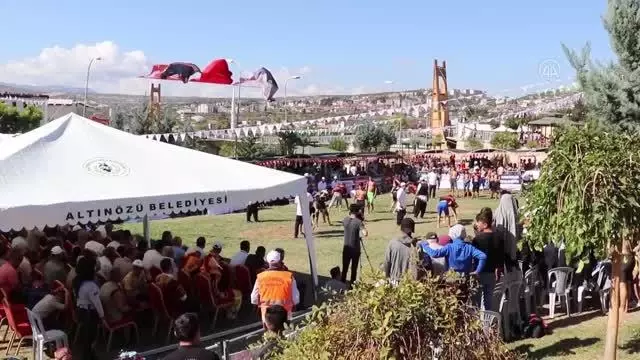 5. Altınözü Zeytin, Zeytinyağı ve Gastronomi Festivali sona erdi