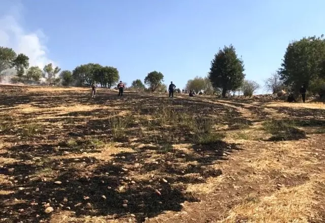 Tarlasındaki anızı yakan adam alevlerin arasında kalarak can verdi