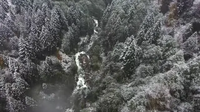 Ayder'de kar yağışı