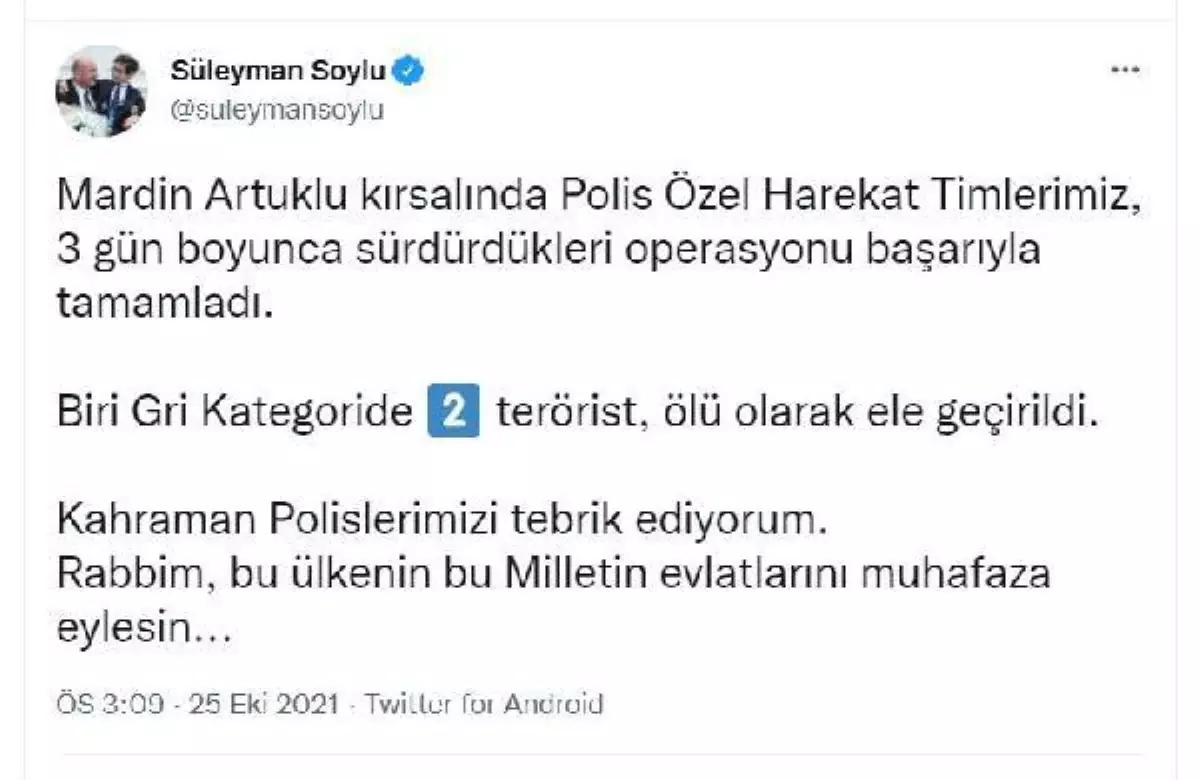 Mardin'de Etkisiz Hale Getirilen 2 Teröristten 1'inin Gri Kategoride Olduğu Tespit Edildi