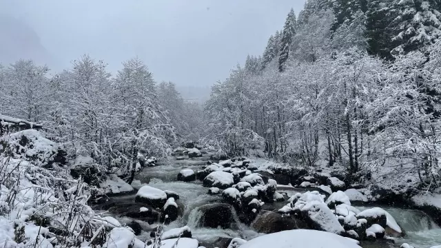 Ayder'de kar yağışı