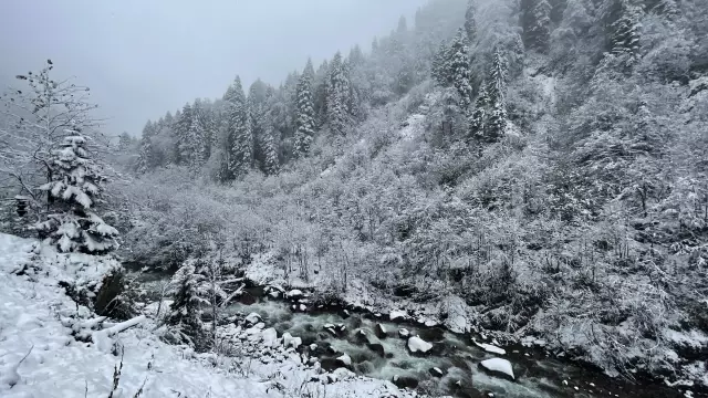 Ayder'de kar yağışı