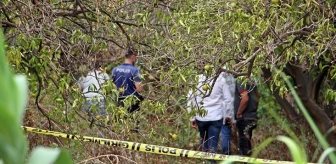 Portakal bahçesindeki ölüm, Rusça mesajın Türkçe çevirisiyle ortaya çıktı: Ağaçta adam asılı, polise haber verin