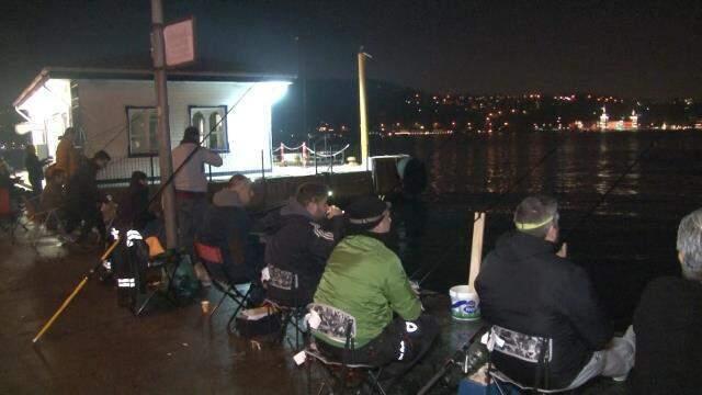 Tüm sahil şeridini denizanaları kapladı! Kimse elini suya sokmaya cesaret bile edemiyor