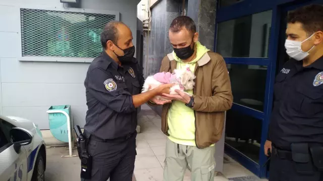 Köpek eğitim merkezinden çalınan köpek, pet shopta bulundu