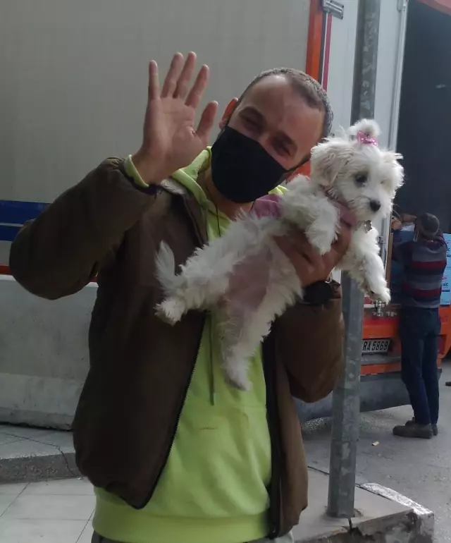 Köpek eğitim merkezinden çalınan köpek, pet shopta bulundu
