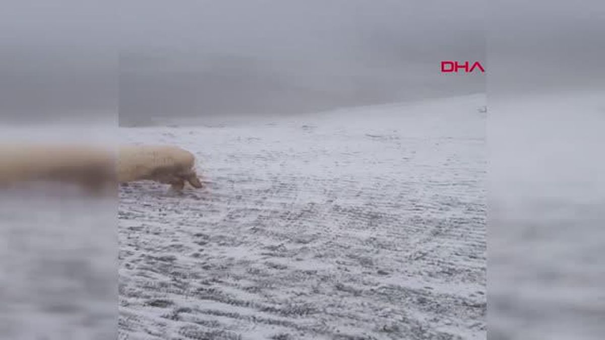TOKAT'A MEVSİMİN İLK KARI DÜŞTÜ